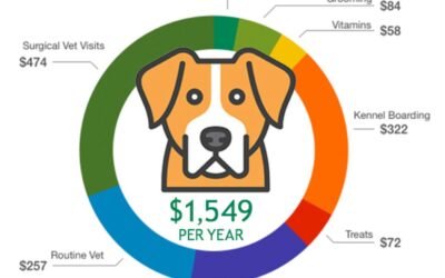 Labrador Price Guide 2026 – Complete Puppy & Ownership Cost Breakdown